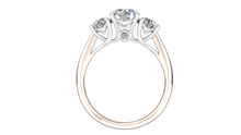 Load image into Gallery viewer, 3STFH-1 Rose Gold