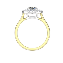 Load image into Gallery viewer, DHS-101PW Yellow Gold
