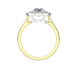 DHS-101PW Yellow Gold
