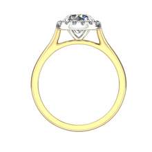 Load image into Gallery viewer, HMS-801FW Yellow Gold