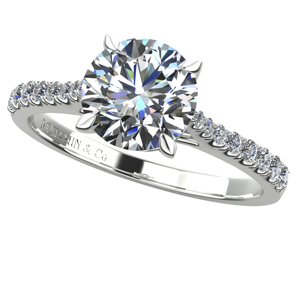 PROMISE-101 White Gold