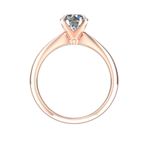 Load image into Gallery viewer, S4C-119 Rose Gold
