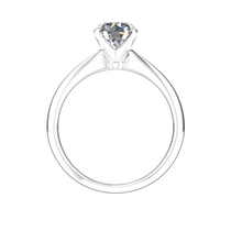Load image into Gallery viewer, S4C-119 White Gold